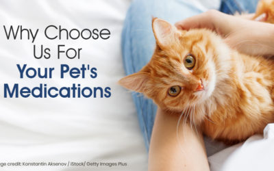 Why Choose Us For Your Pets Medications