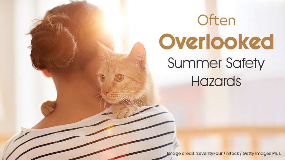 Often Overlooked Summer Safety Hazards
