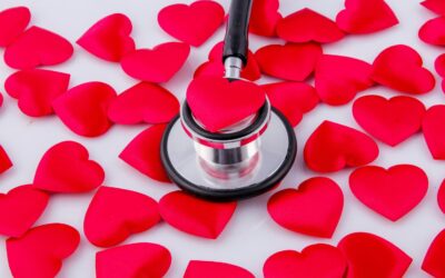 Quiet Heroes Behind Healthy Pets: Veterinary Technicians!